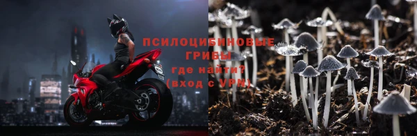 не бодяженный Алексин
